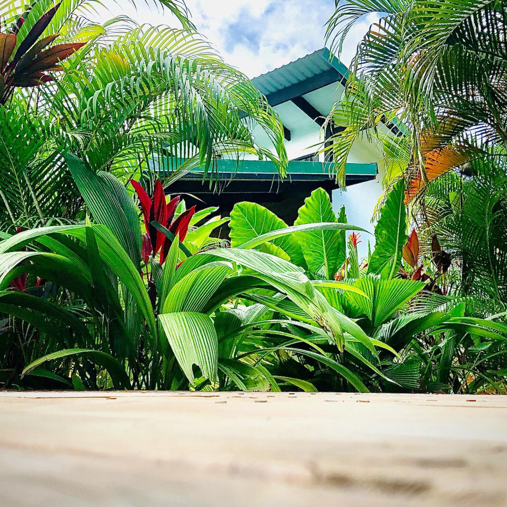 Santeria Lodge Playa Santa Teresa  Luaran gambar
