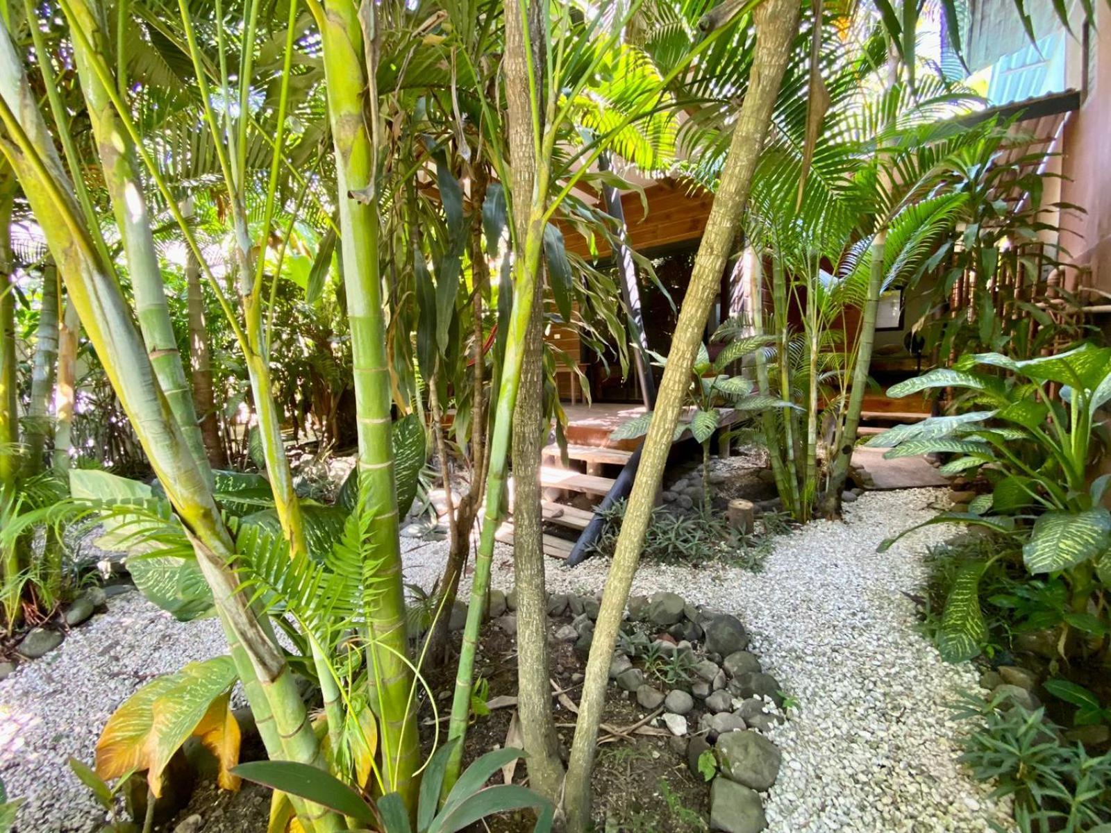 Santeria Lodge Playa Santa Teresa  Luaran gambar