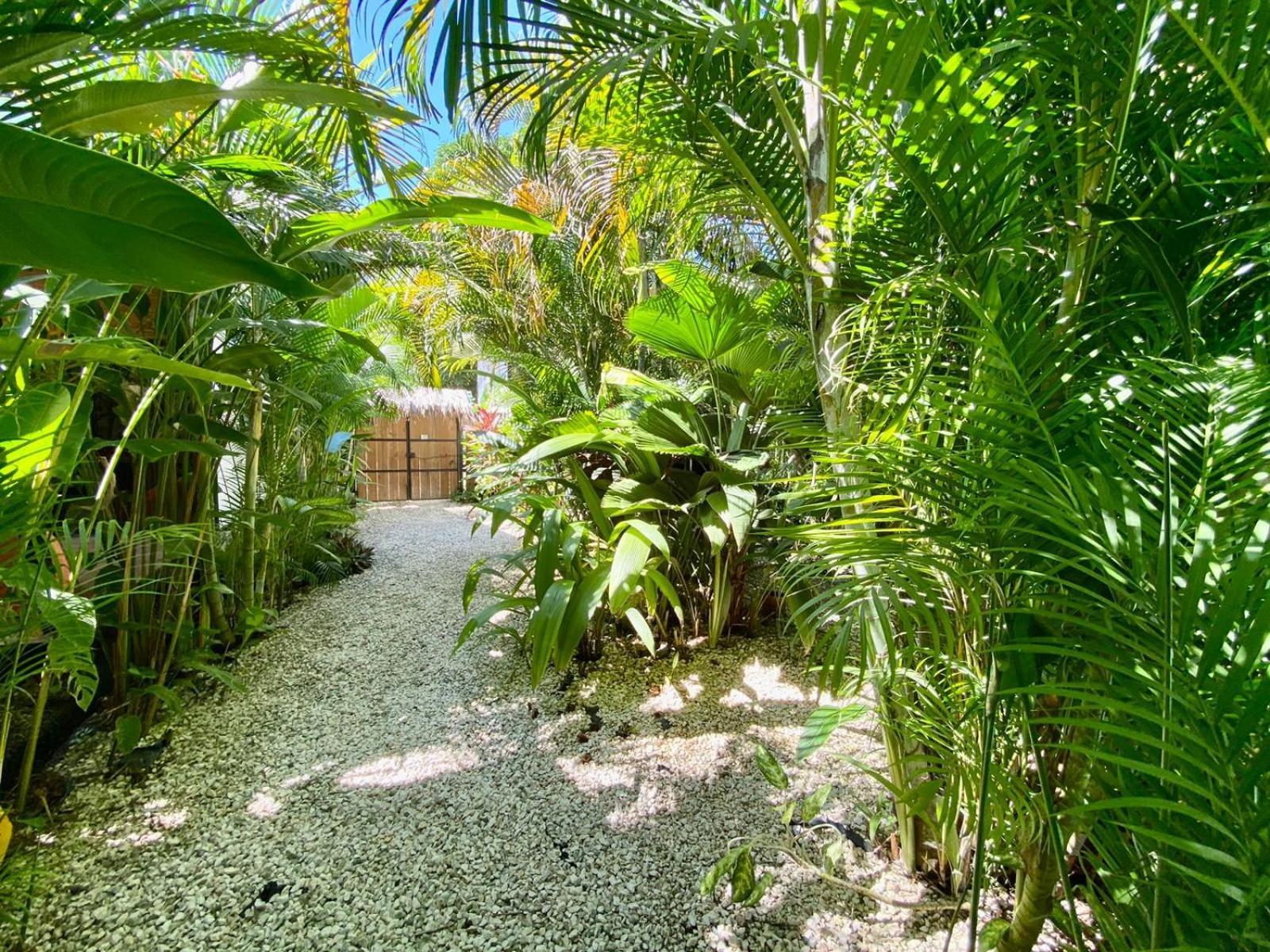 Santeria Lodge Playa Santa Teresa  Luaran gambar
