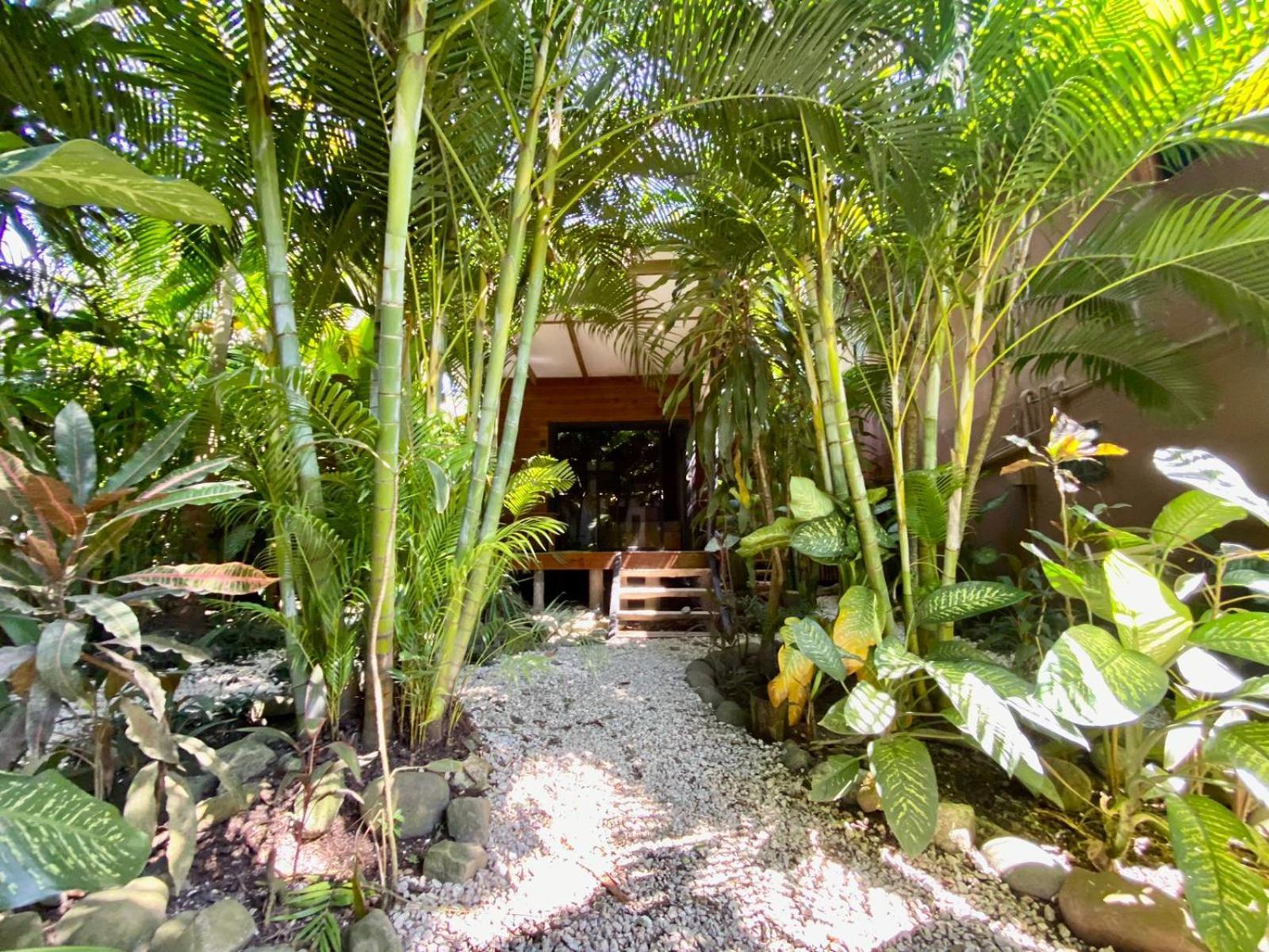 Santeria Lodge Playa Santa Teresa  Luaran gambar