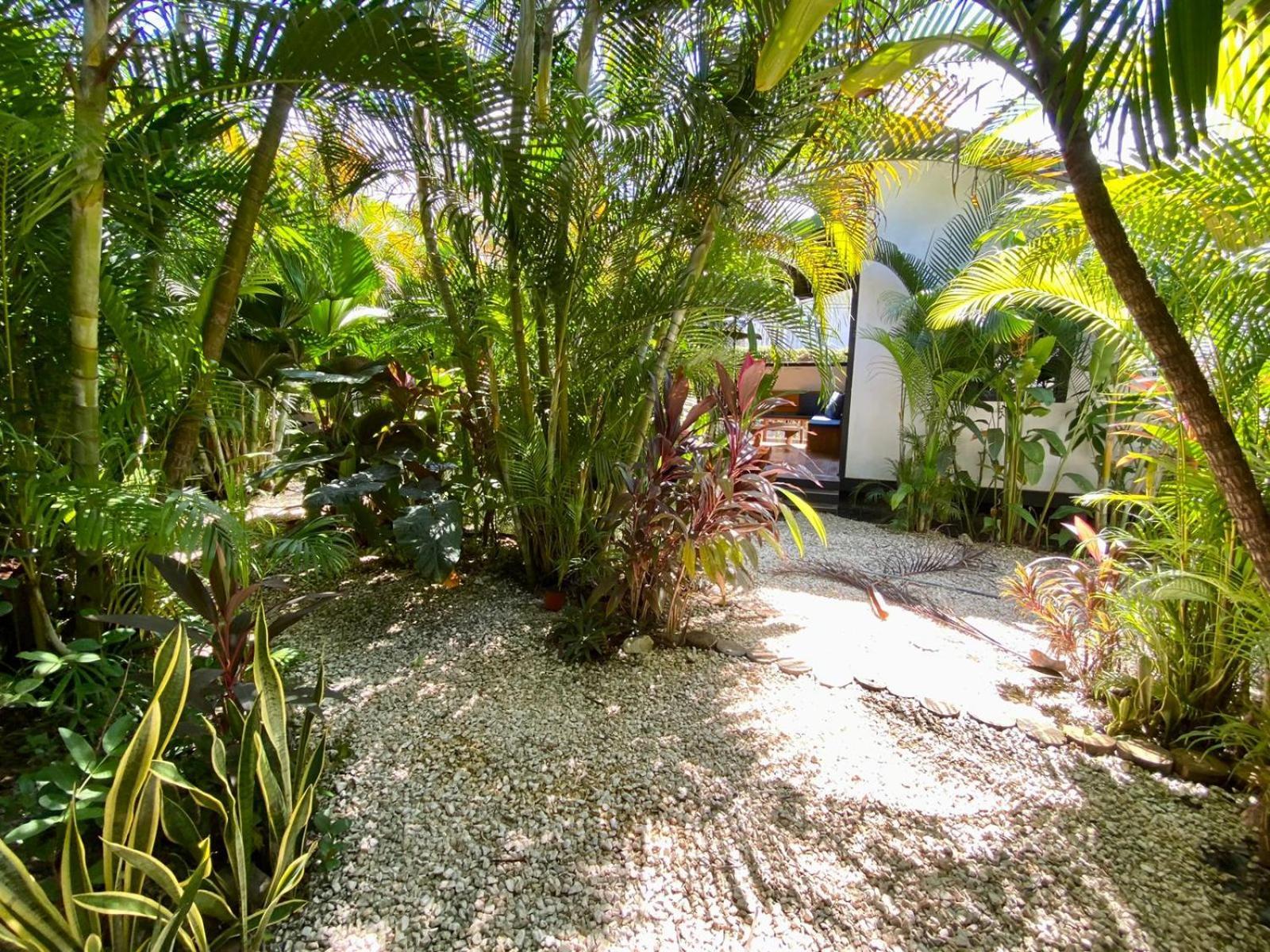 Santeria Lodge Playa Santa Teresa  Luaran gambar