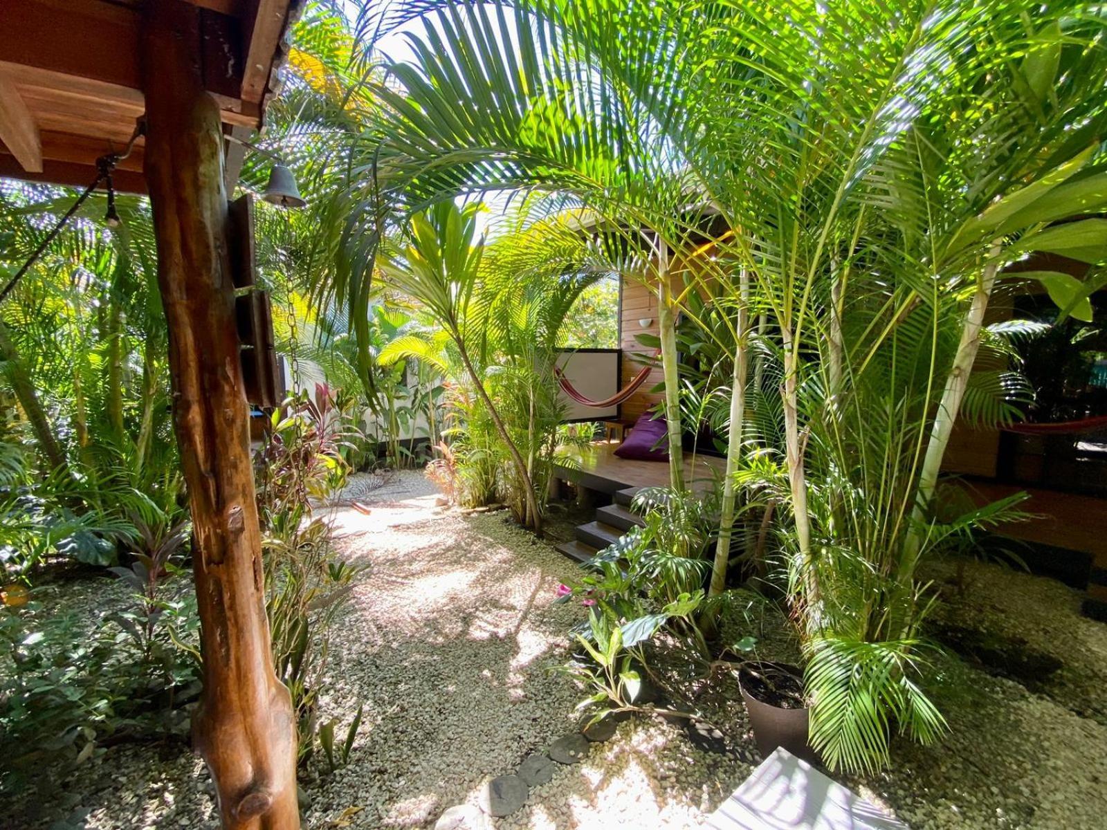Santeria Lodge Playa Santa Teresa  Luaran gambar