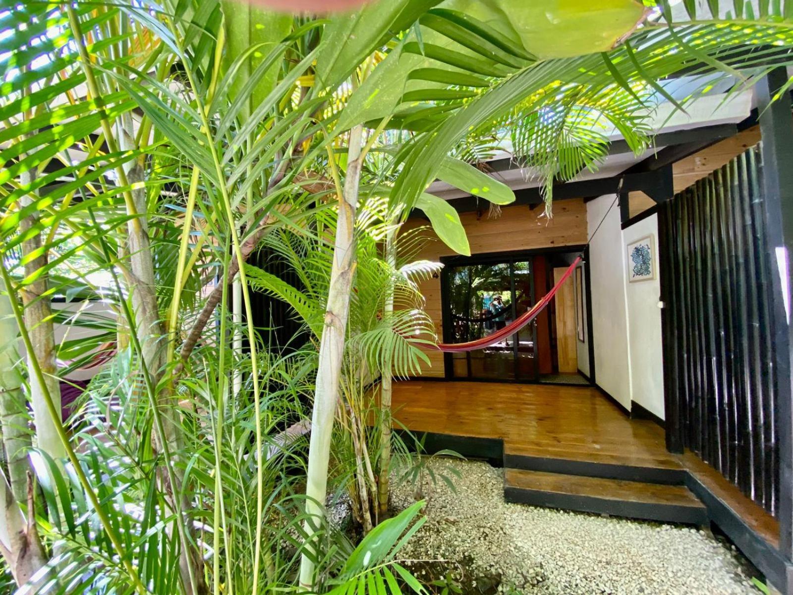 Santeria Lodge Playa Santa Teresa  Luaran gambar