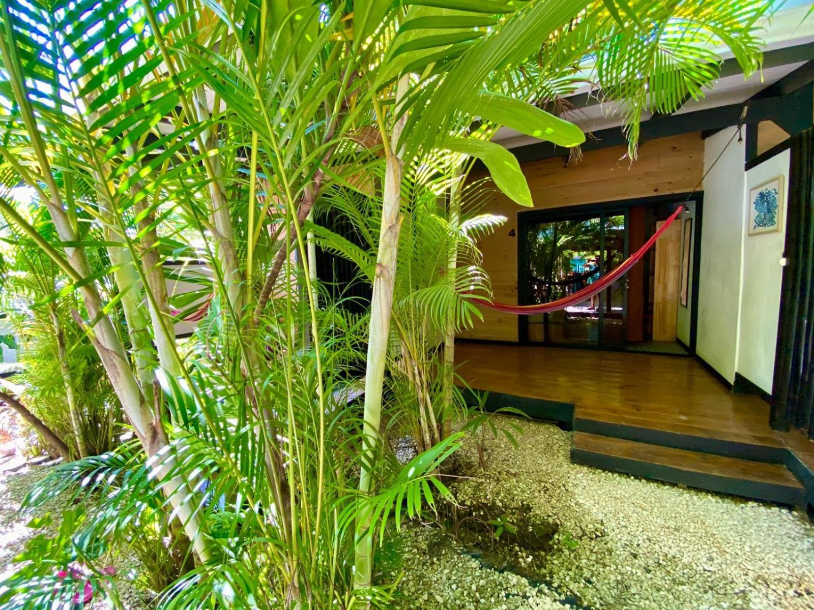 Santeria Lodge Playa Santa Teresa  Luaran gambar