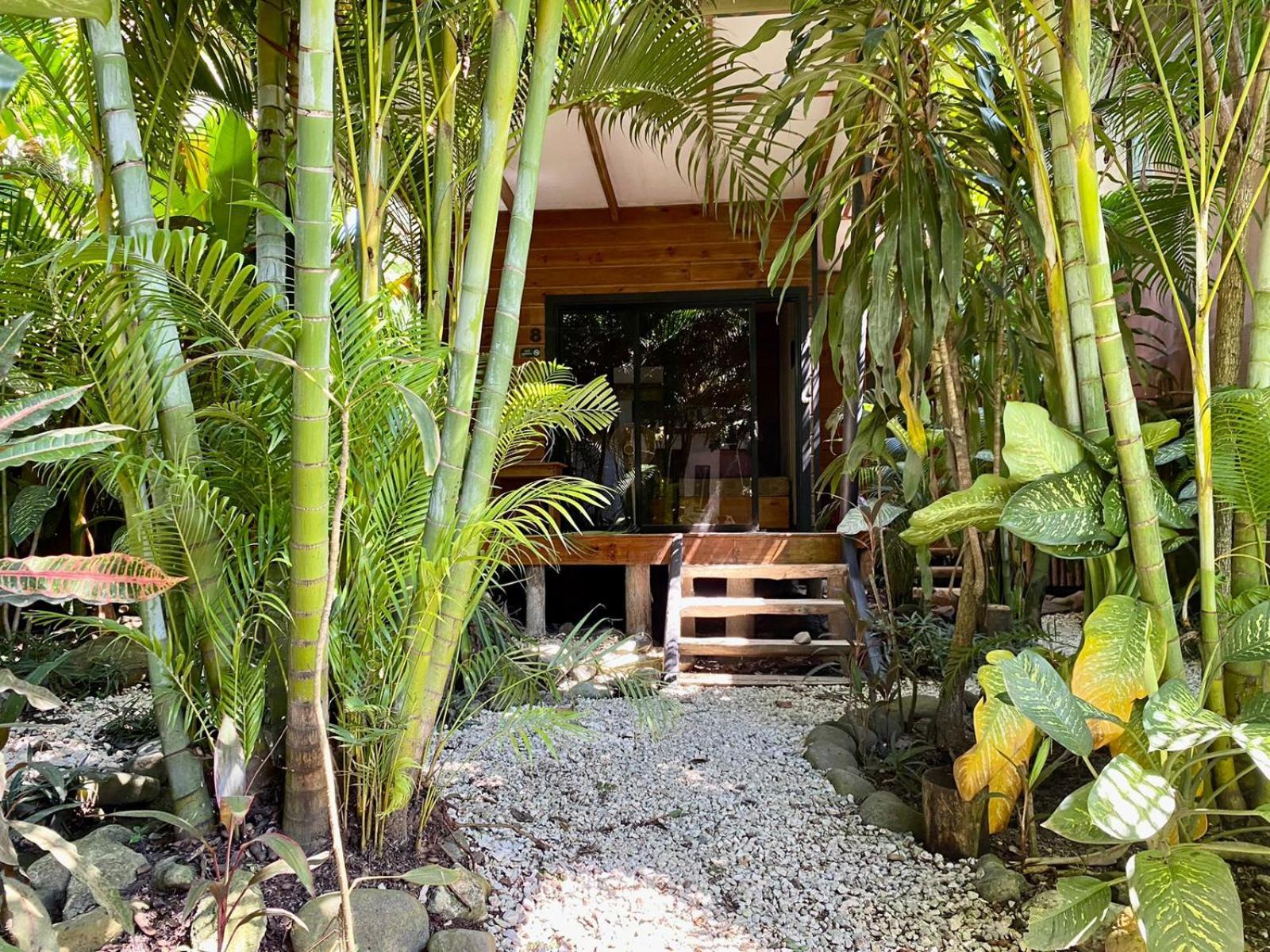 Santeria Lodge Playa Santa Teresa  Luaran gambar