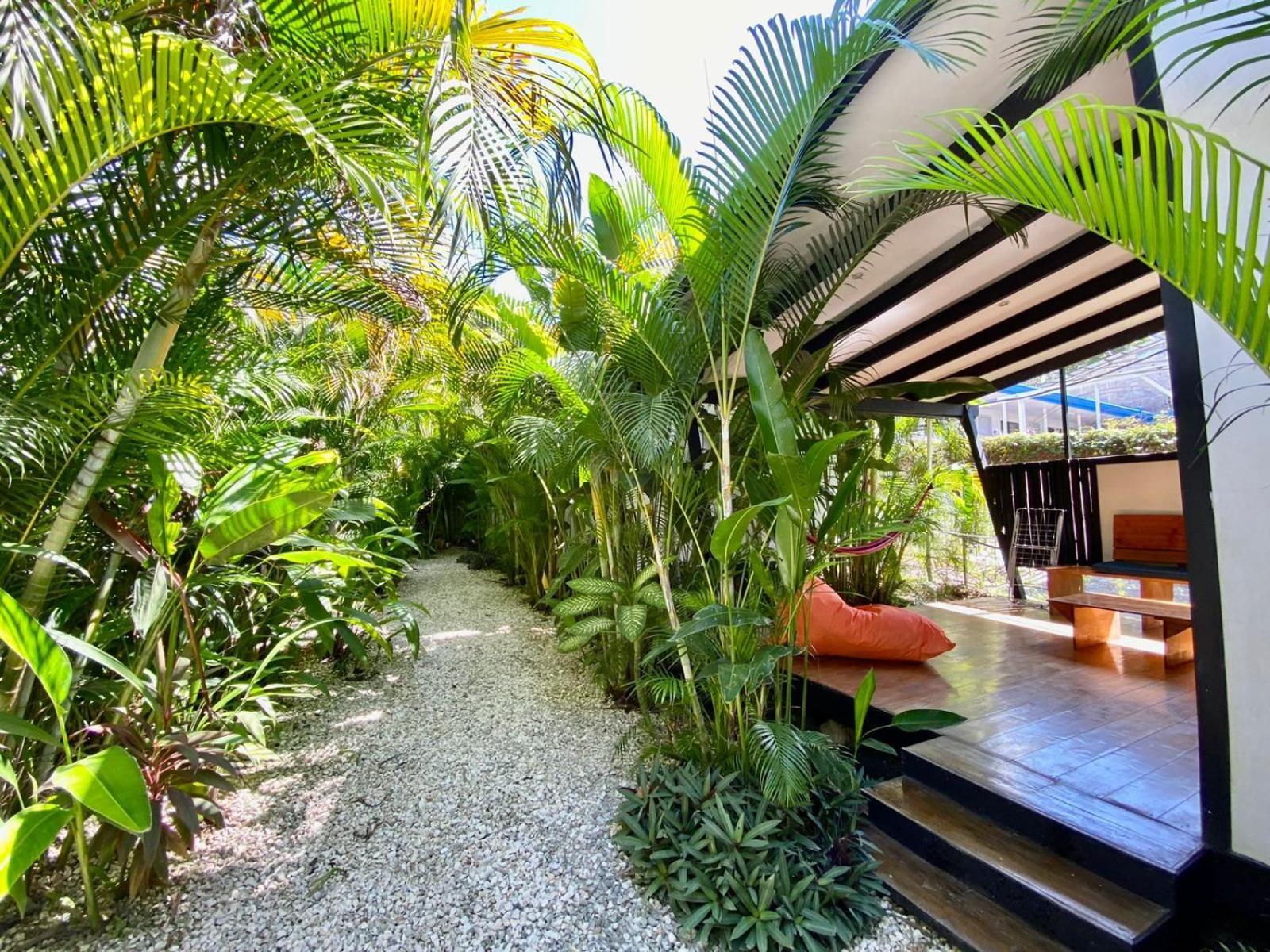 Santeria Lodge Playa Santa Teresa  Luaran gambar